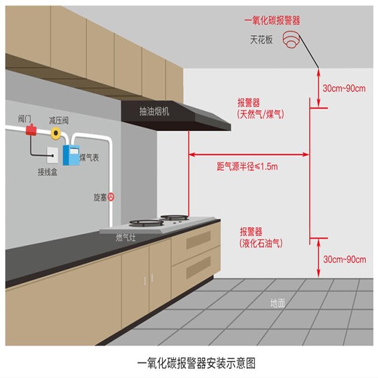 博達(dá)創(chuàng)  數(shù)顯款CO報(bào)警器 廠家直銷