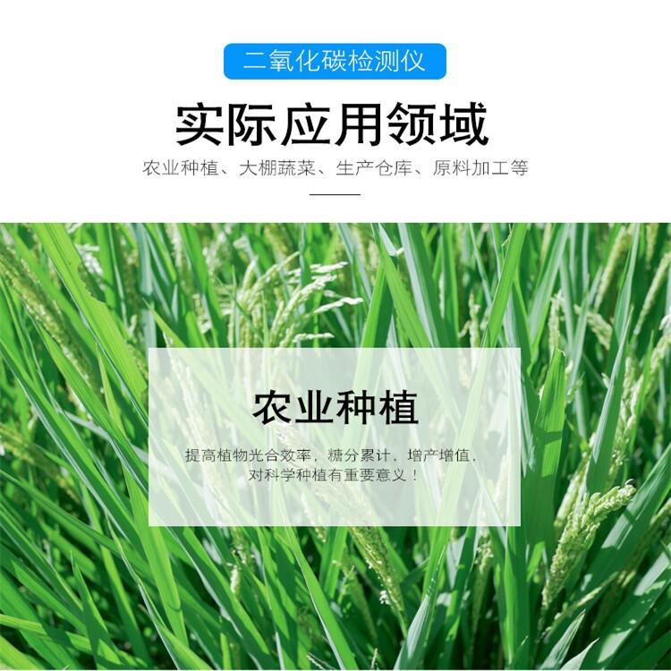 高分貝聲光co2泄漏探測儀器 發(fā)貨快